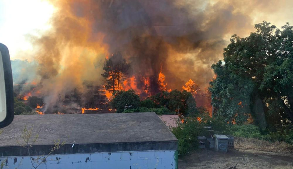 Incendio en Garafía (La Palma)