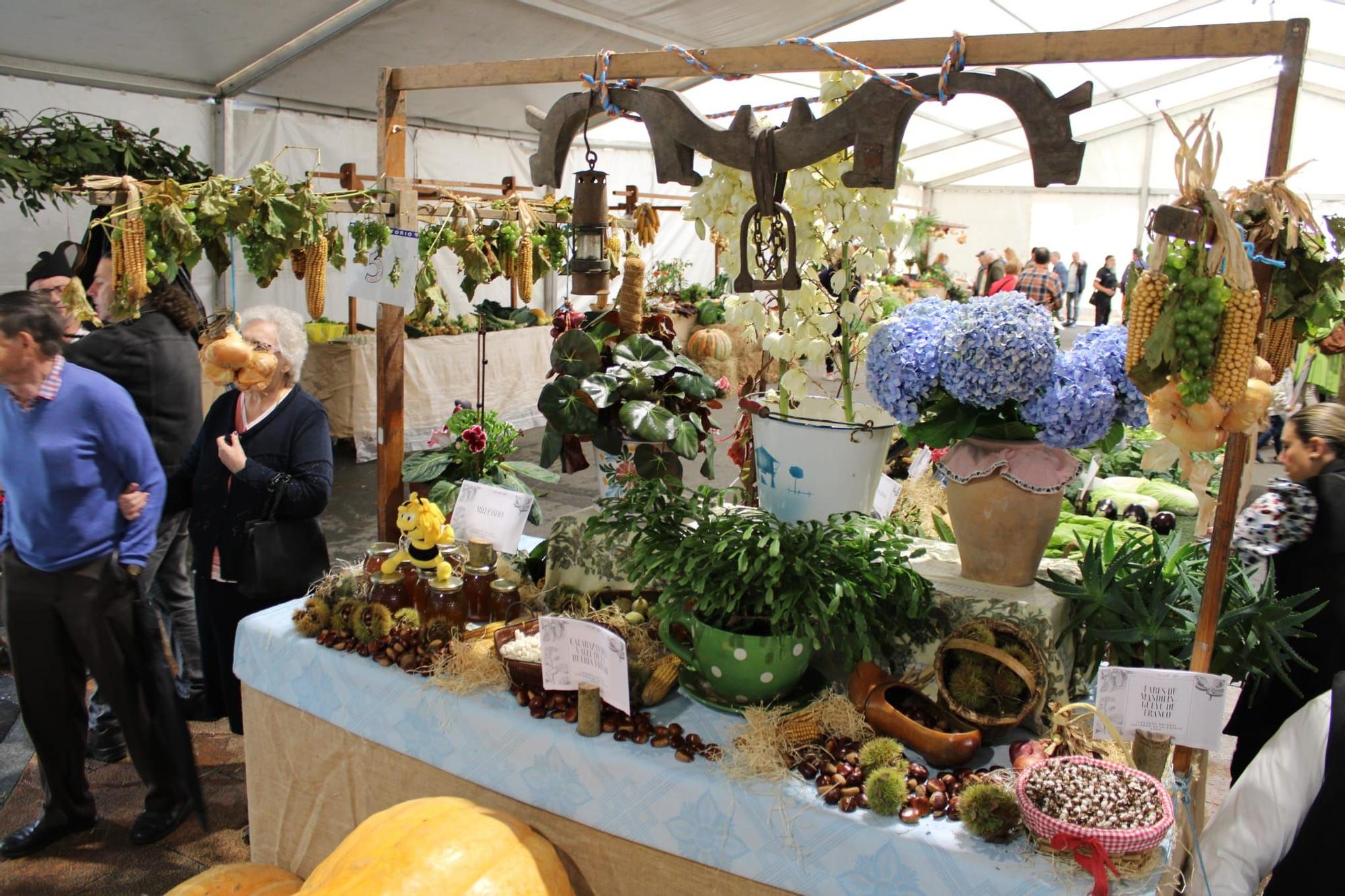 Sama celebra el III Certamen de la Huerta "Llangréu Natural"