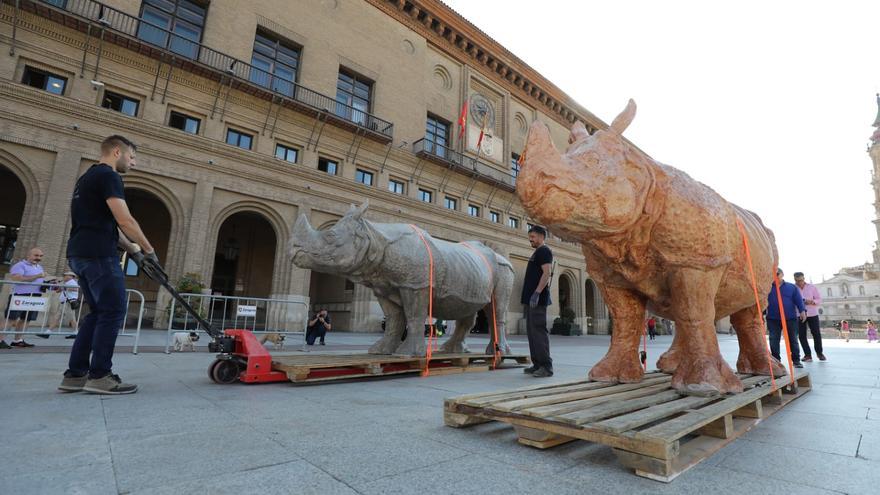 En imágenes | Los 21 rinocerontes de Roberto Fabelo ocupan la plaza del Pilar de Zaragoza