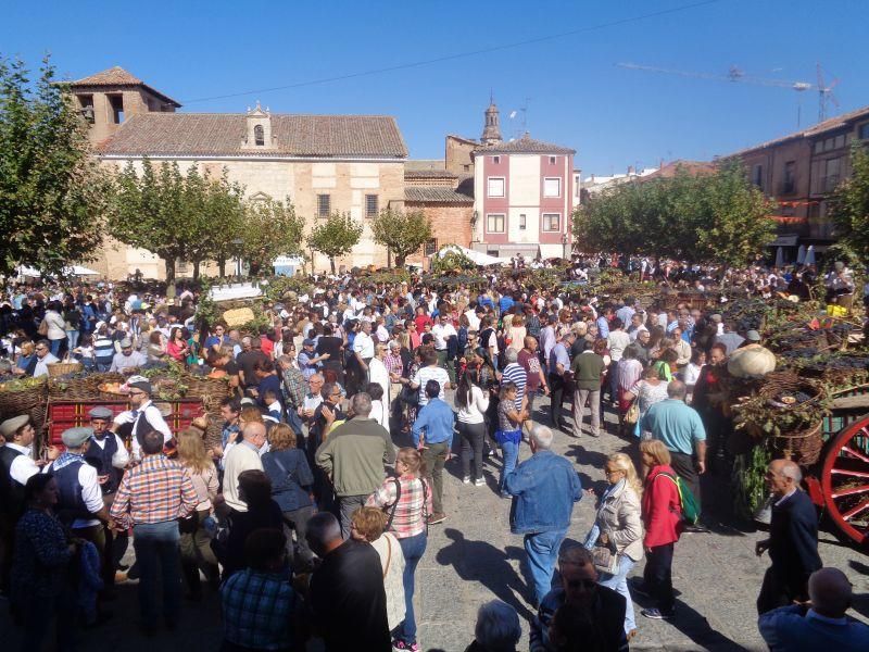 Desfile de carros en La Vendimia 2016 (Toro)