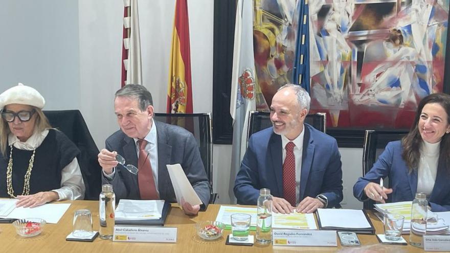 El pleno de Zona Franca de Vigo. |  FdV