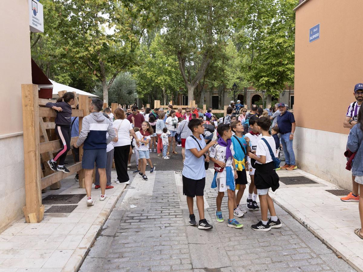 Fiestas de San Agustín Toro