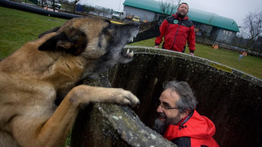 Un entrenamiento de la unidad canina del Principado de Asturias.
