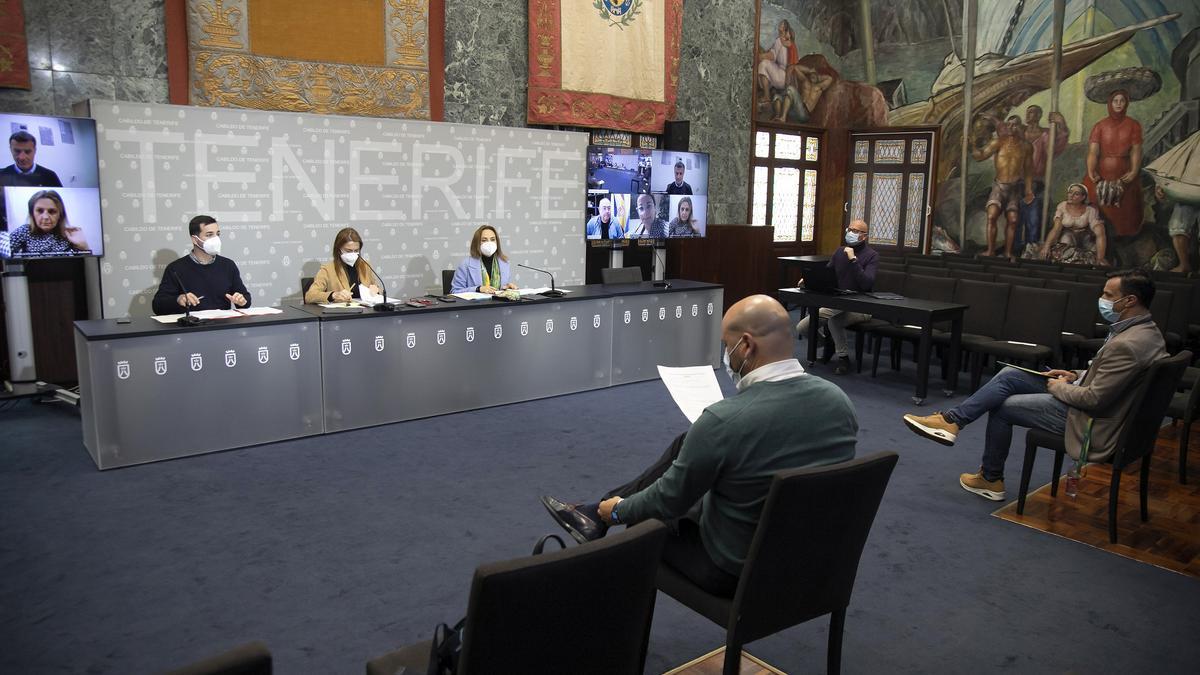 La vicepresidenta segunda y consejera insulart del Área de Presidencia, Hacienda y Modernización del Cabildo de Tenerife, Berta