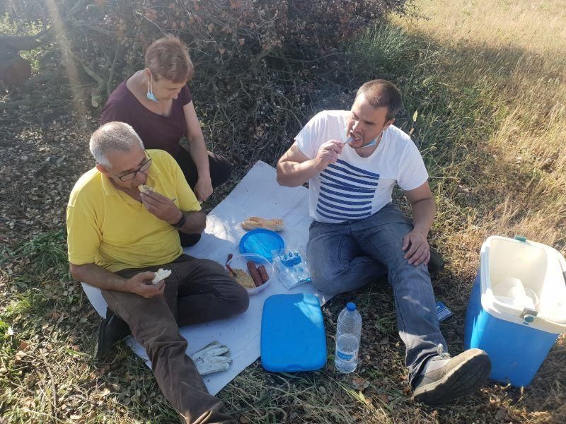 Recogida de las "dadas de leña" en Venialbo