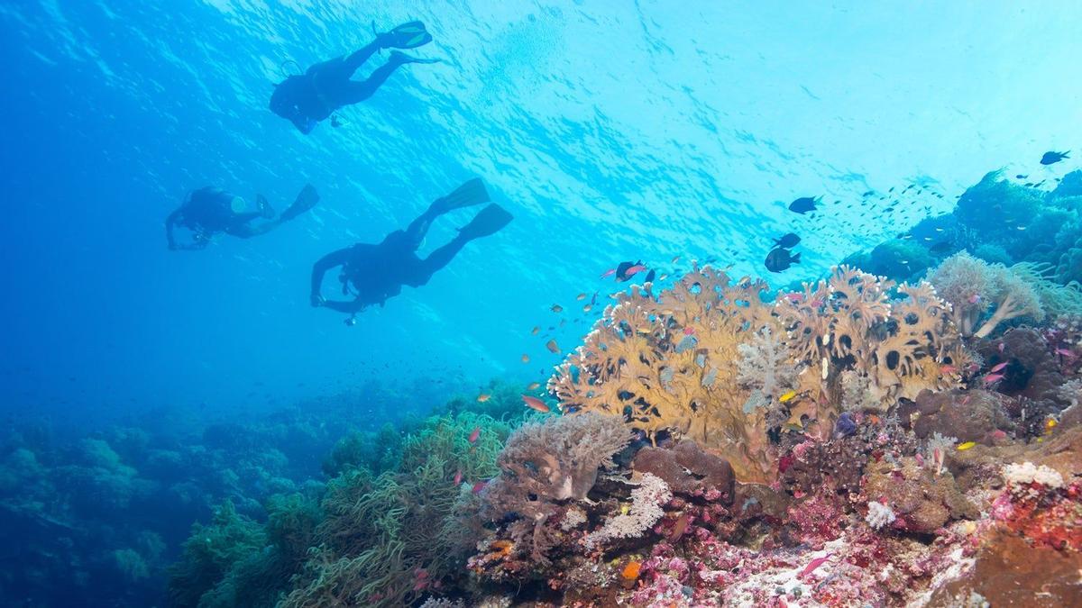 Parque marino del Arrecife de Tubbataha