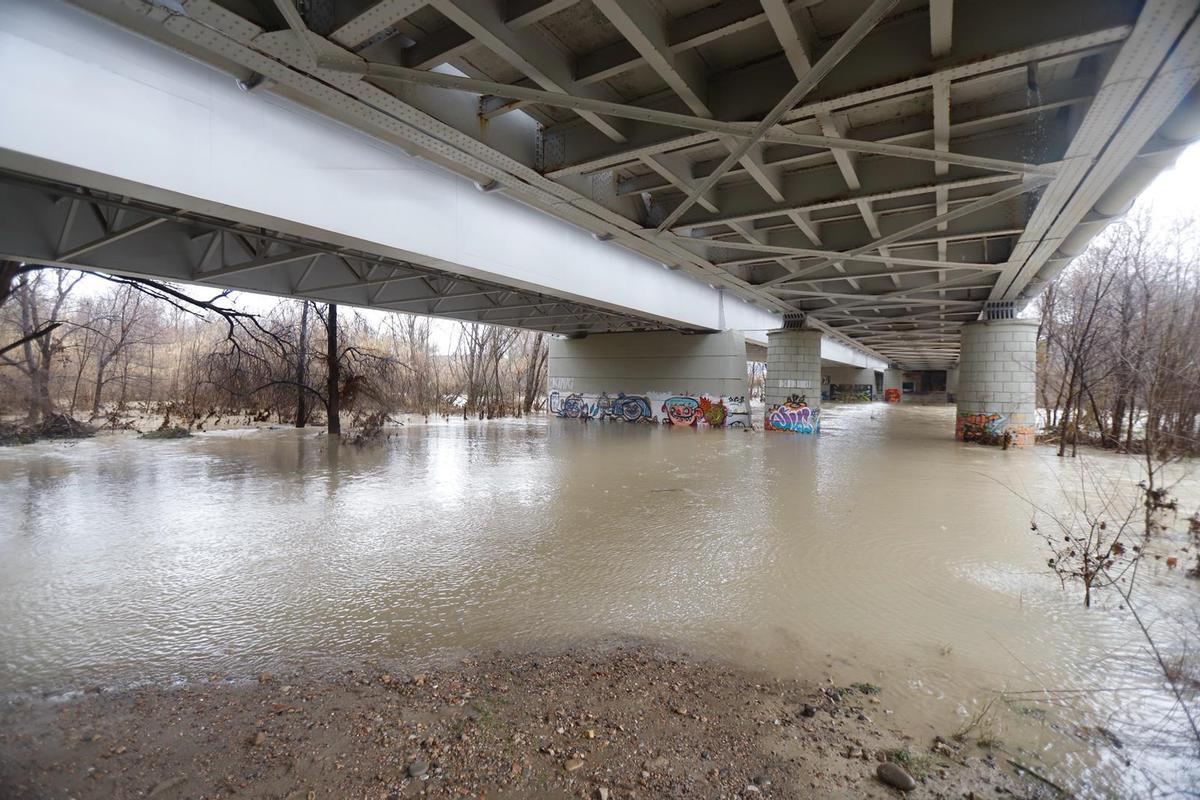 Así luce el río Ebro este viernes 13 de febrero