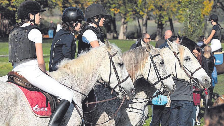 El cavall i el gos d’atura català protagonitzen la Fira de Sant Martirià