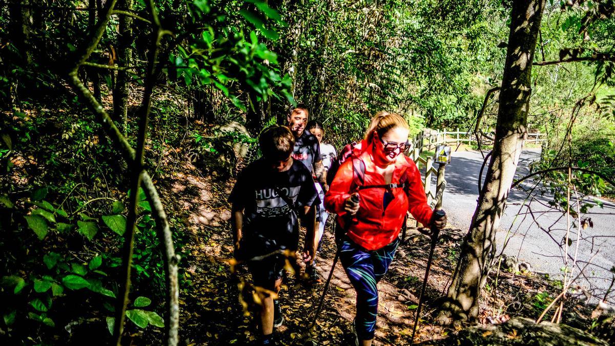 Aviso para quienes quieran visitar Los Tilos de Moya: el sendero circular no puede completarse