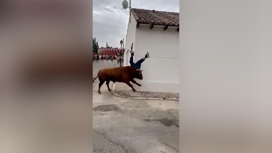 Un toro embiste violentamente a una presunta activista antitaurina