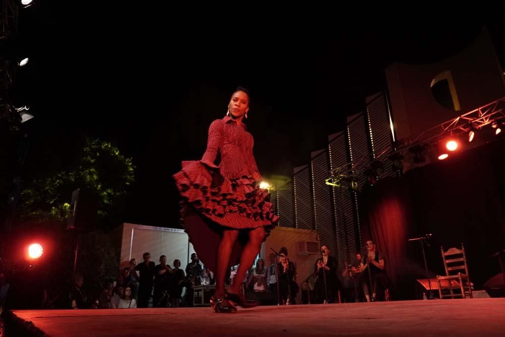La Noche Blanca del Flamenco en imágenes