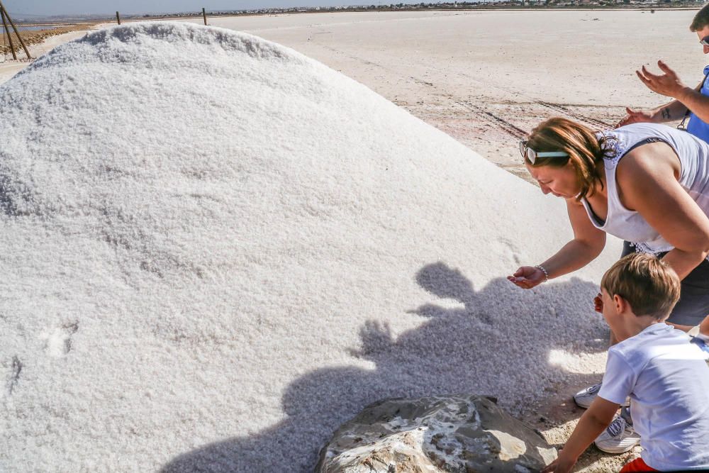 En torno a medio centenar de turistas estrenaron las visitas guiadas a las salinas de Torrevieja, que pretenden normalizarse el verano que viene