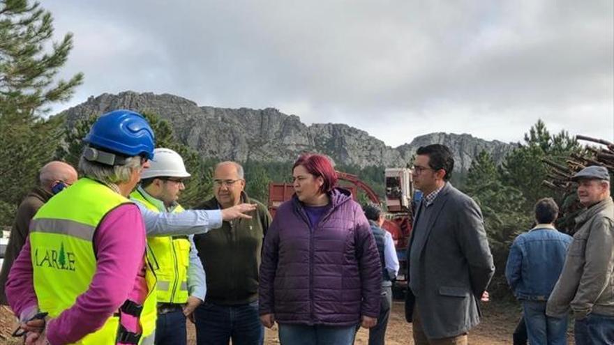 Begoña García inspecciona los trabajos para prevenir los incendios forestales