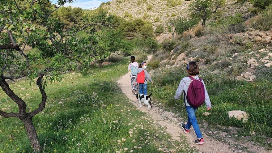 Habilitan tres zonas de acampada en Sierra Espuña