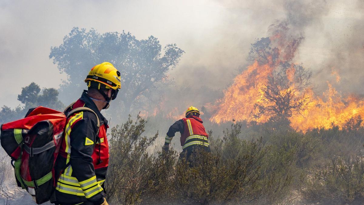 Bomberos forestales, en el incendio de IBI, en el verano de 2025.