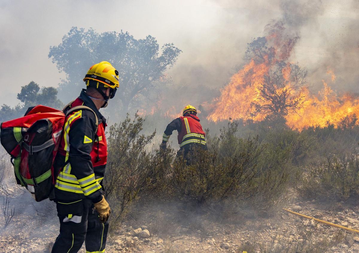 Bomberos forestales, en el incendio de IBI, en el verano de 2025.