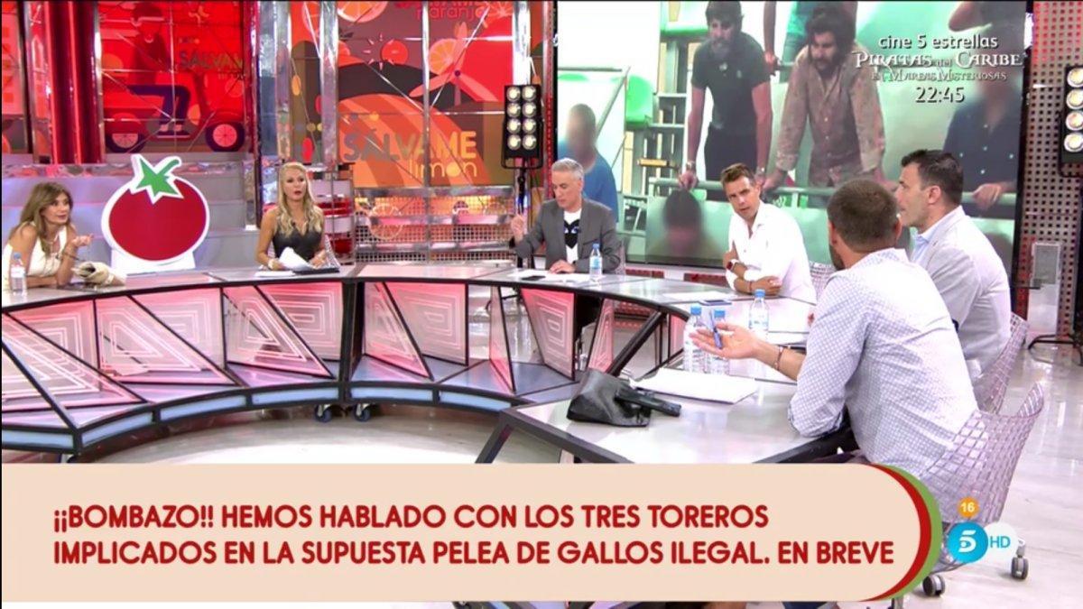 'Sálvame' analizando las imágenes de los toreros en las peleas de gallos ilegales