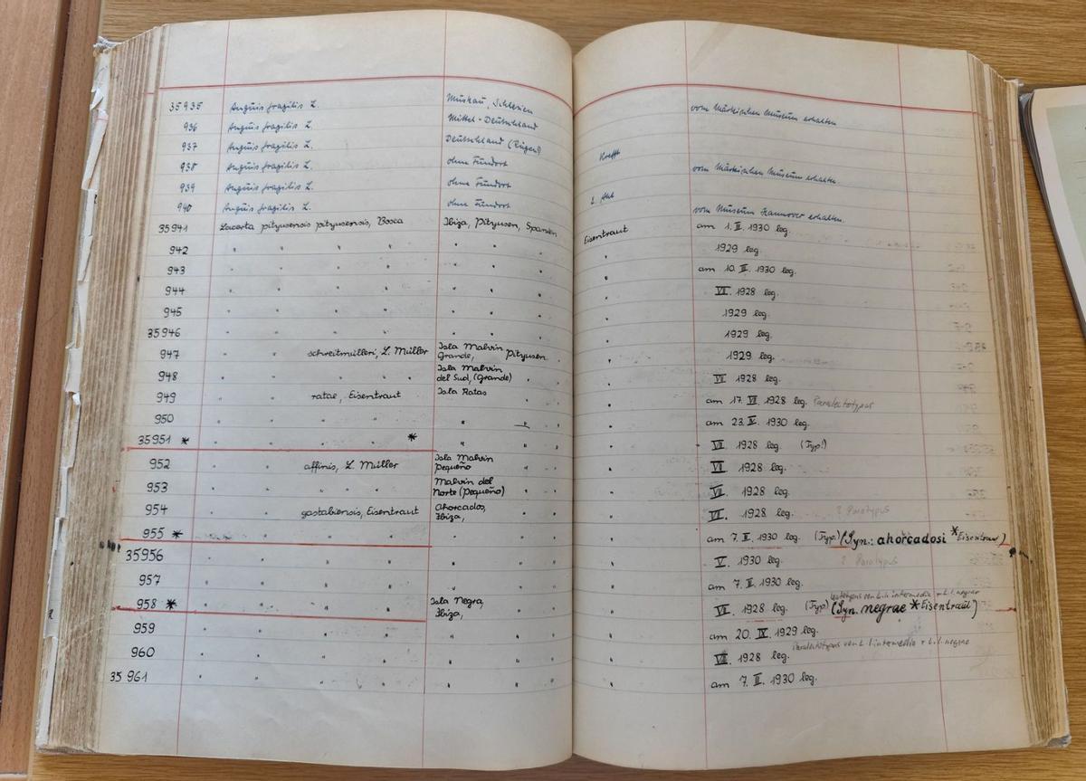 Inventario herpetológico y de anfibios en el que Eisentraut anotó sus capturas de podarcis de Eivissa. / J.M.L.R.