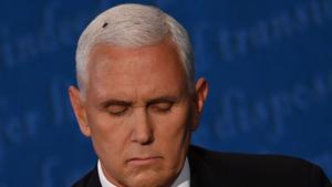 La mosca sobre la cabeza de Mike Pence, durante el debate de vicepresidentes.