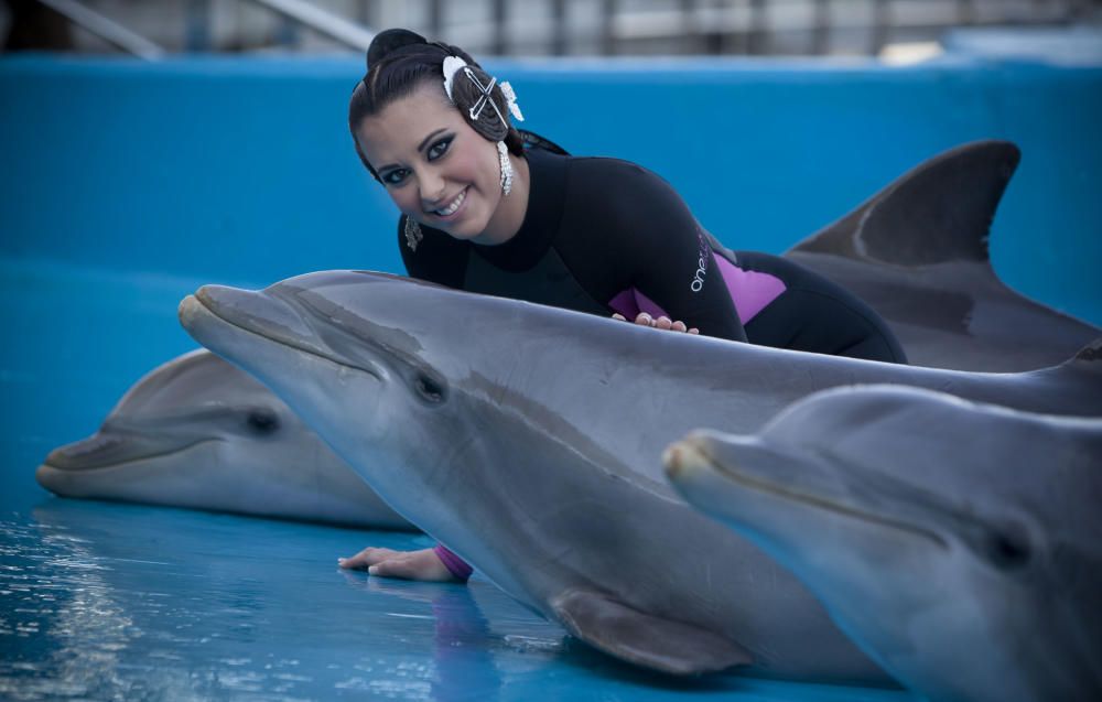 Posando con los delfines del Oceanogràfic. Peinetas incluidas.