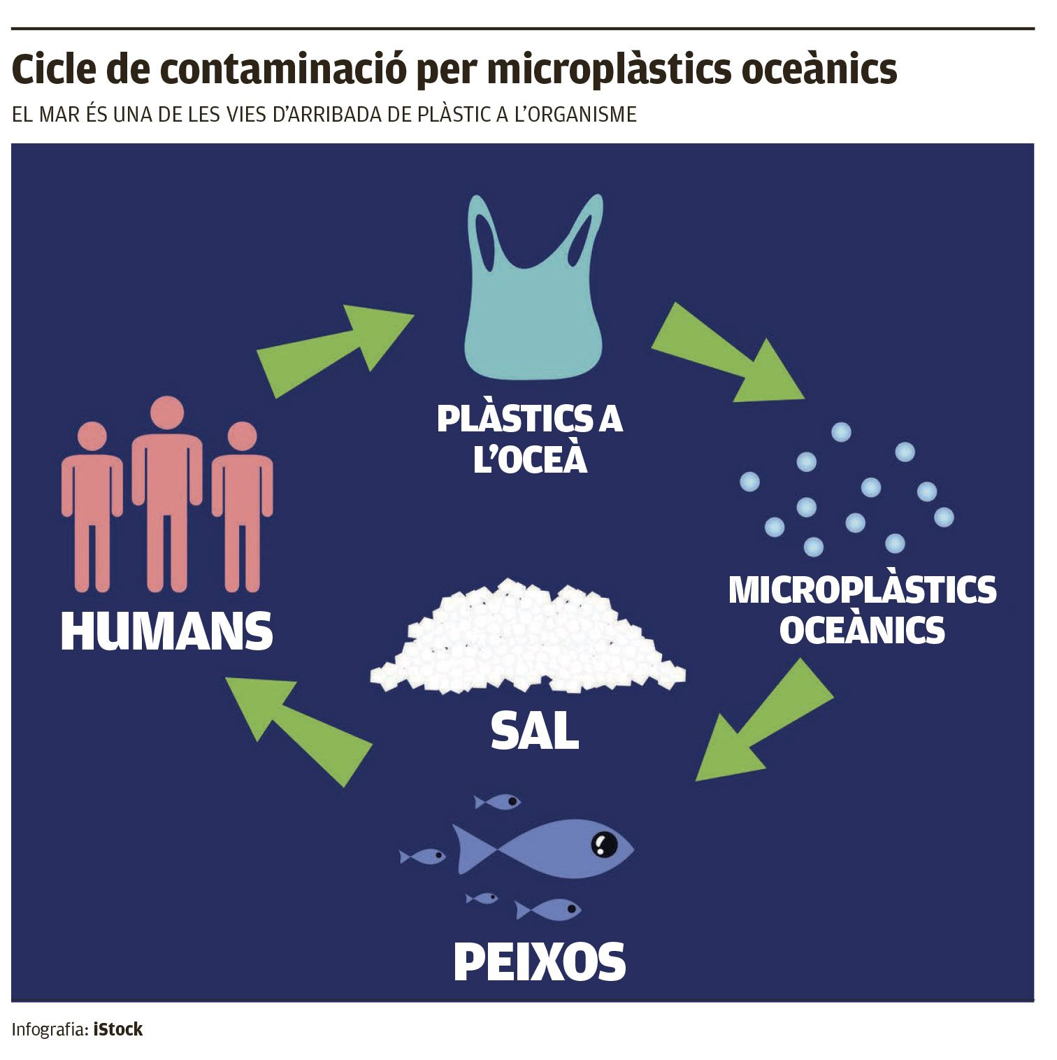 Cicle de contaminació per microplàstics oceànics