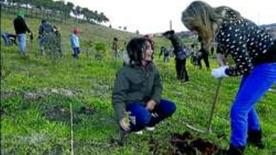 Campaña de reforestación y de plantación de árboles en el cerro de los Pinos de Aldea Moret