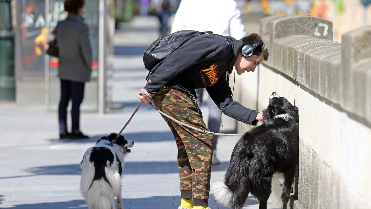 Un joven paseando con sus perros / Marta G. Brea