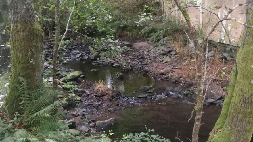 El Asneiro, de río a regato