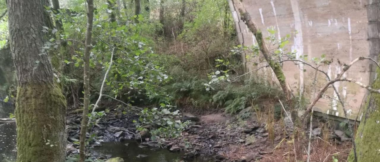 El río Asneiro, con el cauce muy menguado, tras las dos captaciones de agua.