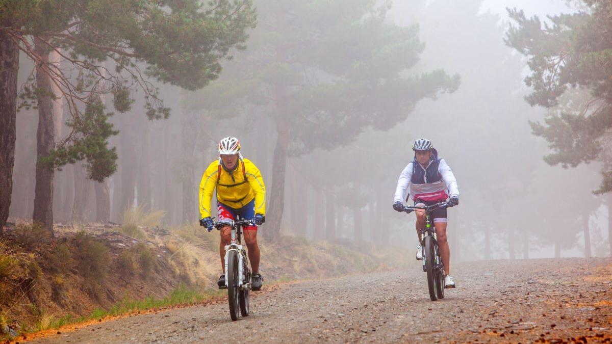 BTT per Sierra Nevada