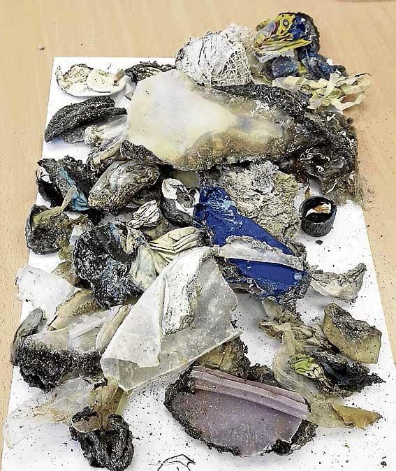 Plásticos semiquemados recogidos en la costa de Palma