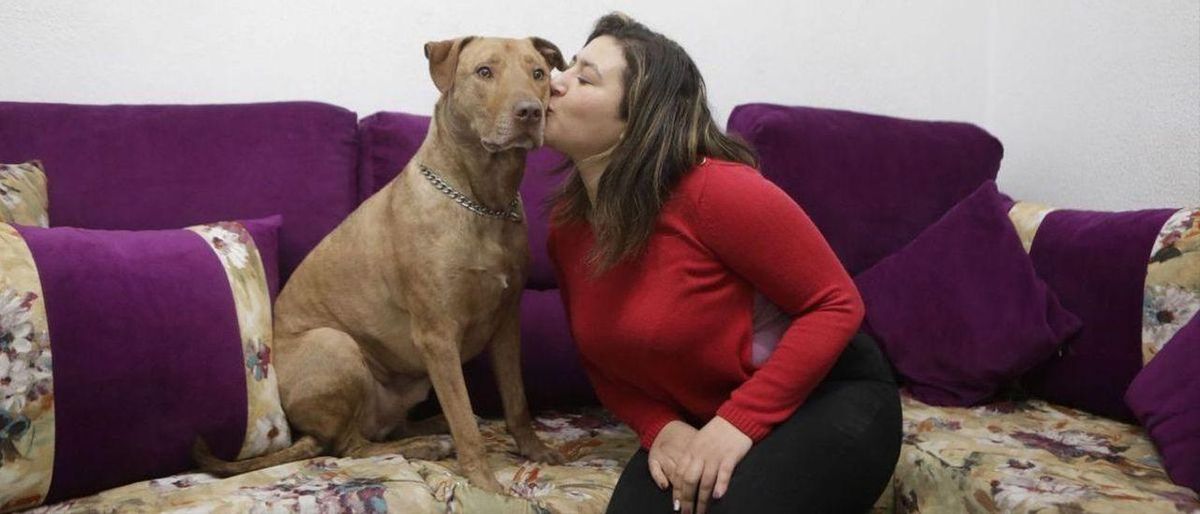 «Prendre’m el gos seria com arrencar-me els ronyons»