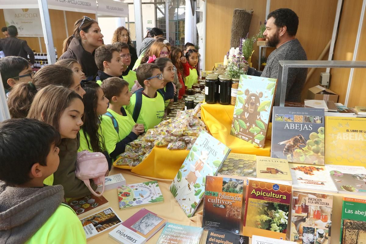 Nueva edición de Expomiel, en el Palacio de la Merced, con 16 estands