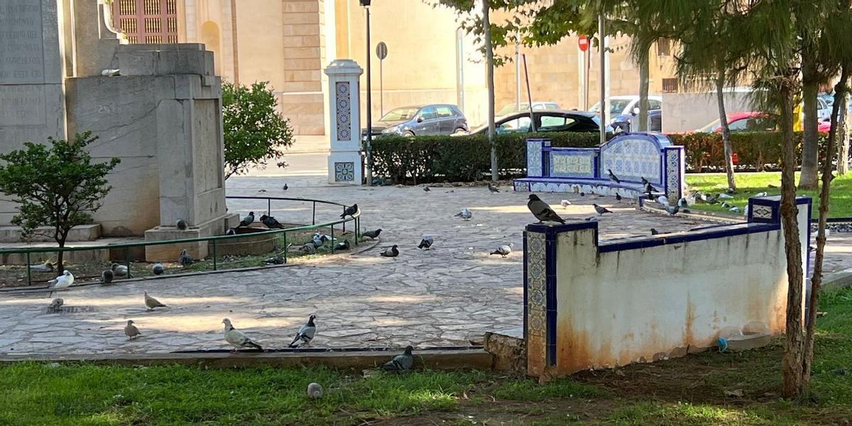 Las aves columbiformes ocupan y ensucian los diferentes elementos existentes en el jardín ubicado frente a la basílica de Sant Pasqual.