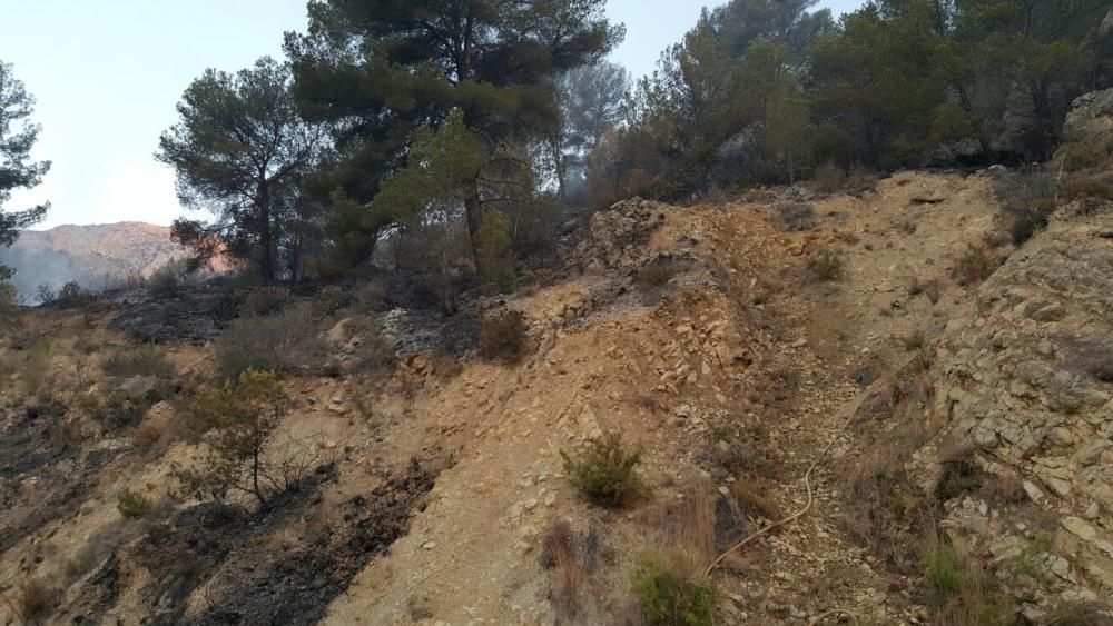 Controlado un incendio forestal en Bolulla