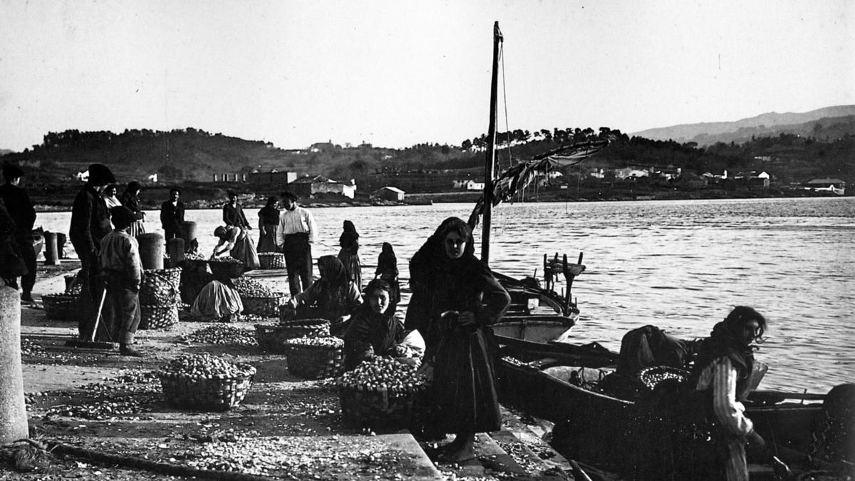 Descarga de marisco en el puerto de A Moureira a principios del siglo XX.