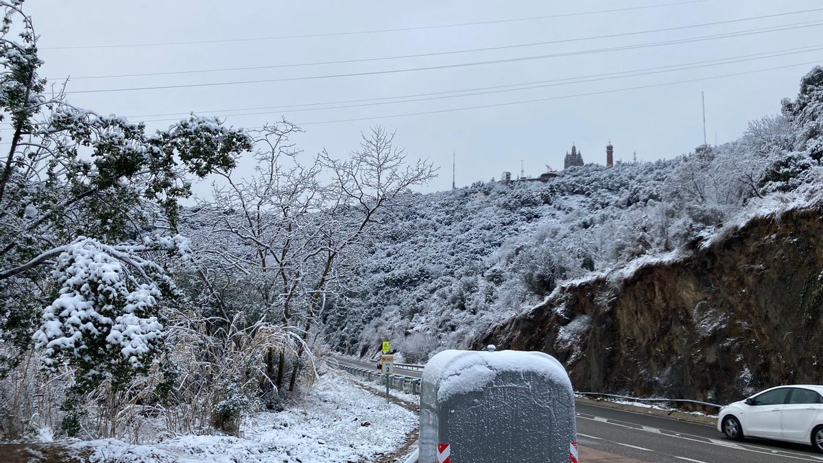 Collserola, con nieve