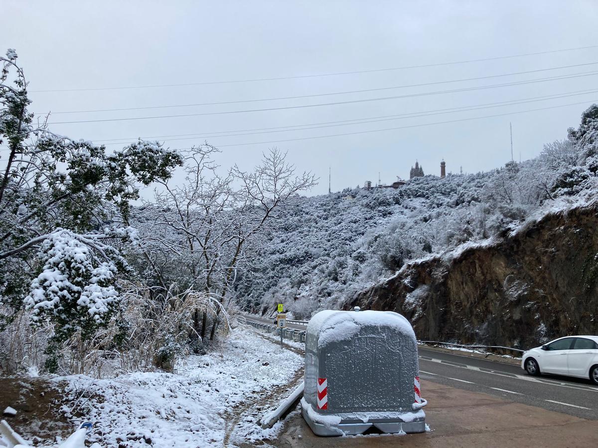 Collserola, con nieve.