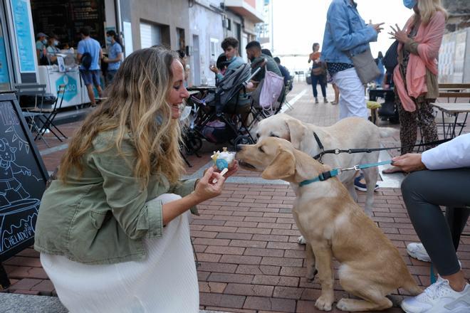 Una heladería de la Cícer vende entre sus productos helados aptos para perros