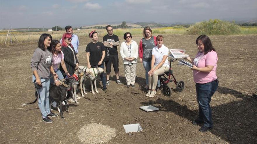 Galgos del Sur construye un centro de protección animal y del entorno