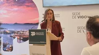 La Diputación propone un gran pacto entre administraciones para impulsar la recuperación del aeropuerto de Vigo