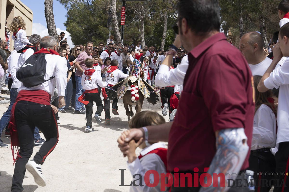 Fiestas de Caravaca | Desfile infantil del Bando de los Caballos del Vino