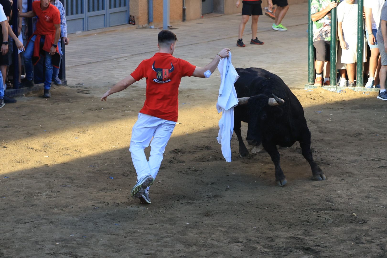 Las imágenes del primer encierro y de las exhibiciones taurinas de las fiestas de Almassora