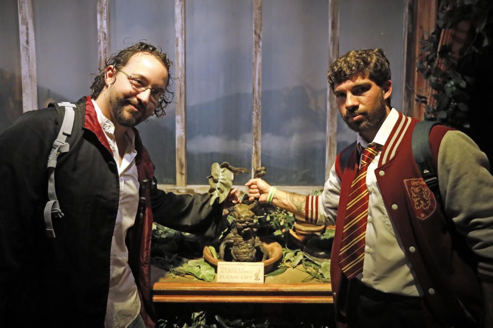 Así es la exposición de Harry Potter en València