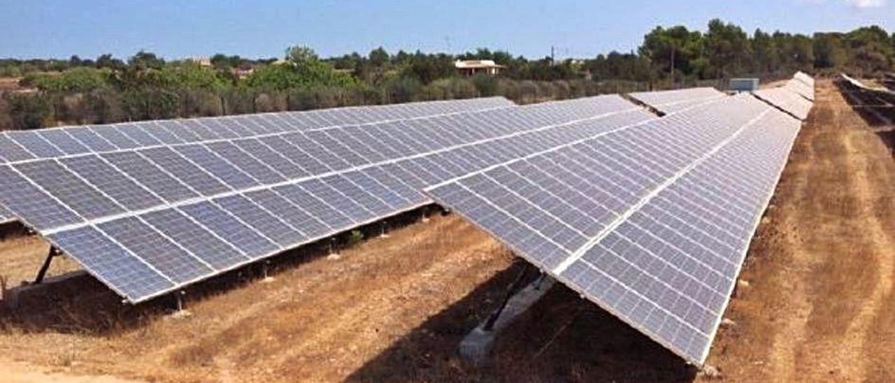 Proyectan un parque fotovoltaico con más de 12.600 placas en una finca rústica de Selva