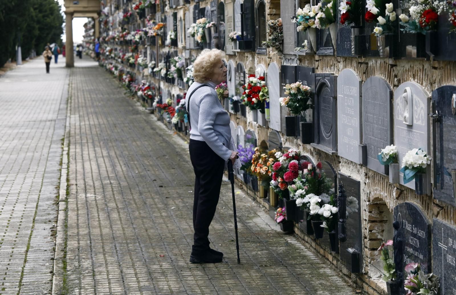 En imágenes | El cementerio de Zaragoza, un museo al aire libre que se engalana para el Día de Todos los Santos