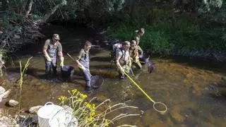 La Junta rescata los peces que se quedan en pozas aisladas en el río Tera