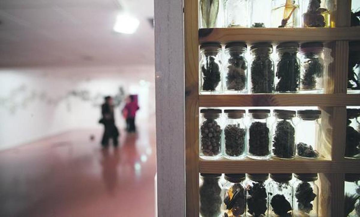 Coexistencia de repeticiones