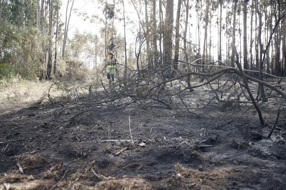 El operativo de extinción incluyó cuatro helicópteros y tres aviones y medios terrestres || Se tomó declaración a una testigo ante la sospecha de que el fuego fue provocado