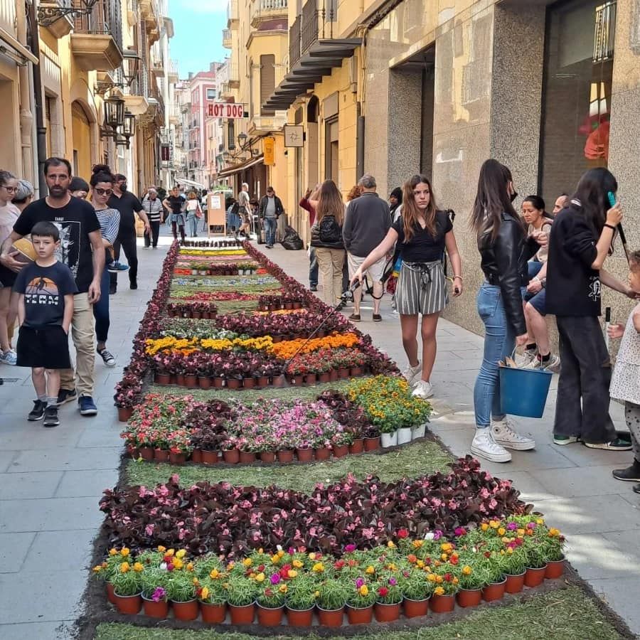 Moments Florits, a Sant Feliu de Guíxols